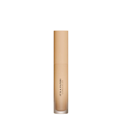 Diego Dalla Palma It's A Filter Concealer 137 W