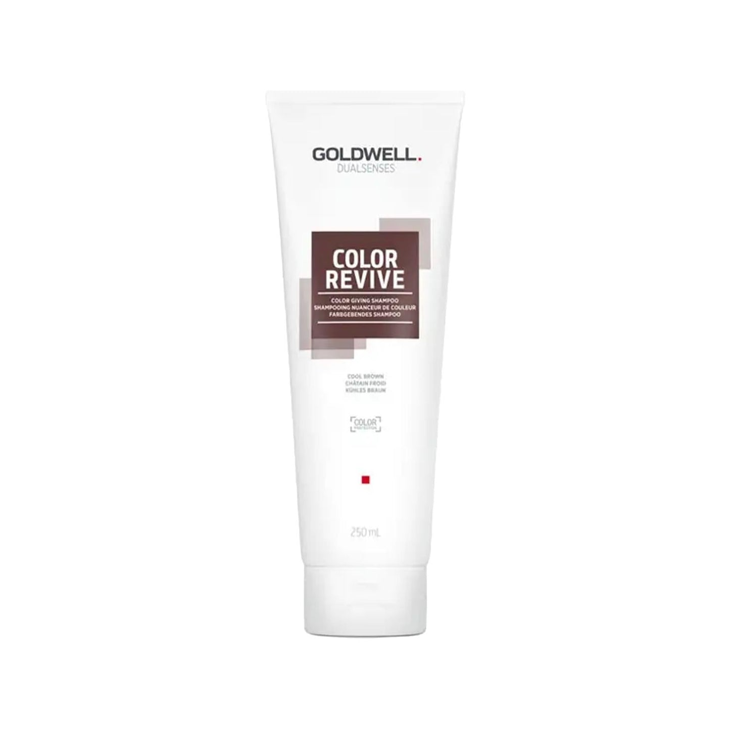 Goldwell Dualsenses Color Revive Shampoo for Brown Hair - Color Protecting, 8.45 fl oz