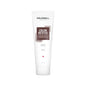 Goldwell Dualsenses Color Revive Shampoo for Brown Hair - Color Protecting, 8.45 fl oz