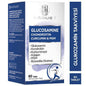 NaturalNest Glucosamine Chondroitin Curcumin MSM Supplement for Joint Health Support - 60 Tablets