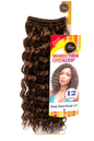 Femi Collection Mambo Twin Open Loop Deep Twist Braid Hair 12" Color 30