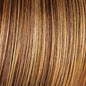 Hairdo Fringe Top of Head Hairpiece Bangs - Choose Color