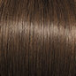 Eva Gabor Best in Class Wig GF4-10SS SS Iced Java by HairUWear