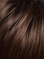 Raquel Welch Go For It Wig - Choose Color
