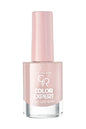 Golden Rose Color Expert Nail Lacquer 141 Wide Brush Polish 10.2ml