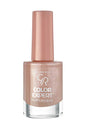 Golden Rose Color Expert Nail Lacquer 146 Wide Brush Polish 10.2ml