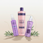 Cadiveu Plastica dos Fios Hydration & Smoothing Trio Complete Hair Care System