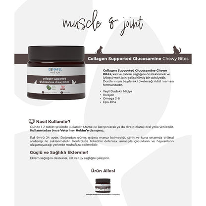 Bonafel Pet Supplement for Cats & Dogs - Glucosamine & Spirulina Chewable Tablets for Joint Health