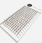 VIP Spike Lashes