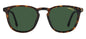 CARRERA 260/S