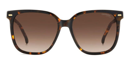 CARRERA 3002/S