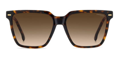 CARRERA 3069/S