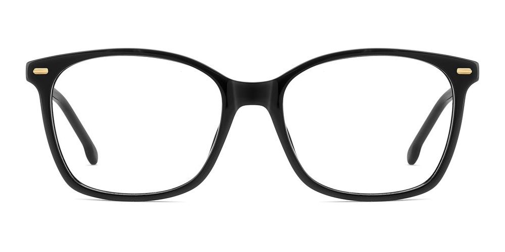 CARRERA 3091