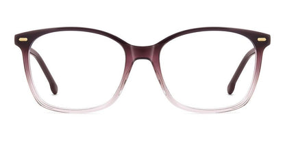 CARRERA 3091