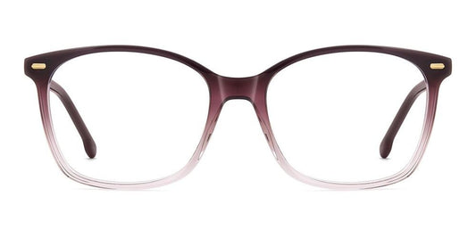 CARRERA 3091