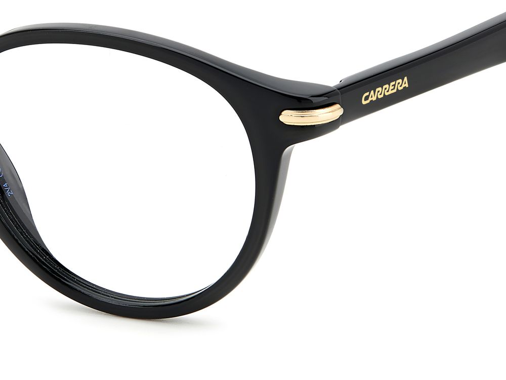 CARRERA 310