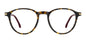 CARRERA 383