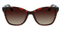 CK21529S N