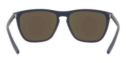 FRY AN 4301