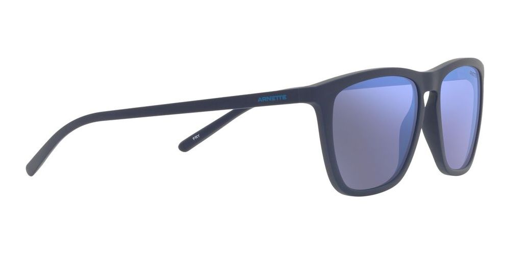 FRY AN 4301