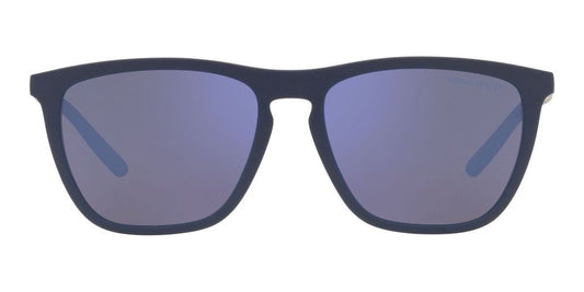 FRY AN 4301