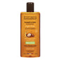 Evoluderm Argan Oil Shampoo: Nourishing & Repairing Shampoo for Dry, Damaged Hair - Hydrates, Restores Shine, and Prevents Breakage