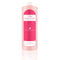 Light Elegance - LEpro Gel Remover (DISCONTINUED)