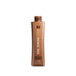 Brazilian Blowout Ionic Bonding Spray 350ml - Professional Hair Care for Damaged Hair
