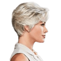 Eva Gabor Perfection Wig - Choose Color