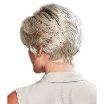 Eva Gabor Perfection Wig - Choose Color