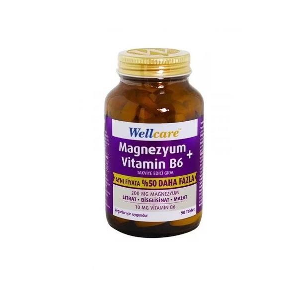 Wellcare Magnesium & Vitamin B6 Daily Wellness Support, 90 Tablets