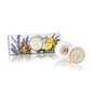 Saponificio Artigianale Fiorentino Lavender & Cedar Soap 3x100g