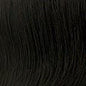 Christie Brinkley The Pony Ponytail Hairpiece Hair Extension - Choose Color