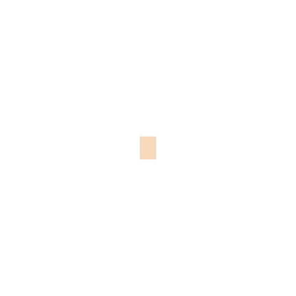 Shiseido Advanced Hydro Liquid Compact B40 Fair Beige 12g