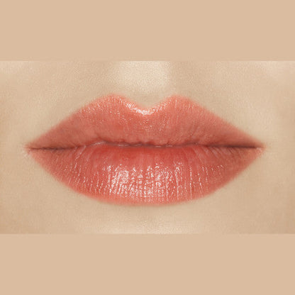 Vichy NaturalBlend Tinted Lip Care Coral