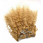 VIP Clip Extensions / French Wave 18" ClipeX System