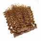 VIP Clip Extensions / French Wave 18" ClipeX System