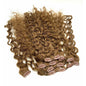 VIP Clip Extensions / French Wave 18" ClipeX System