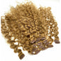 VIP Clip Extensions / French Wave 18" ClipeX System