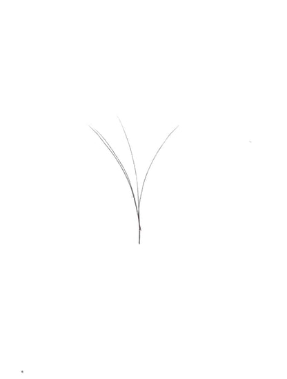 VIP Extensions V Type Easy Fan Lashes 0.5 C Curl 12 Lines - Pick Size