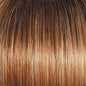 Raquel Welch Voltage Wig Hairpiece - Choose Option