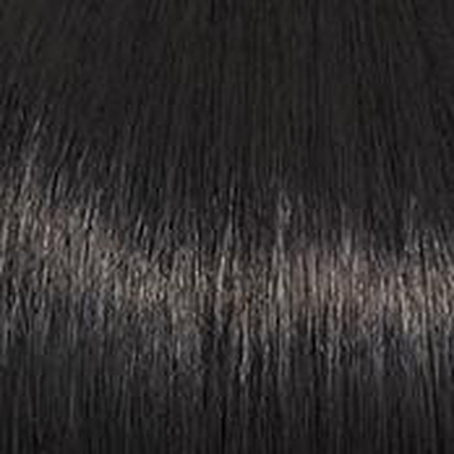 Raquel Welch Voltage Wig Hairpiece - Choose Option