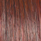 Raquel Welch Well Played Wig - Choose Color