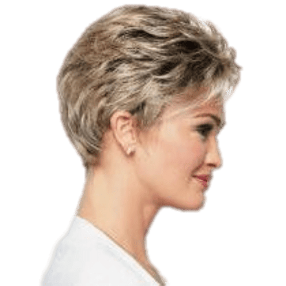 Raquel Welch Winner Elite Wig - Choose Color