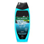 Palmolive Men's Sport Shower Gel - Refreshing Greyfruit & Guaic Wood Scent - 16.91 fl oz