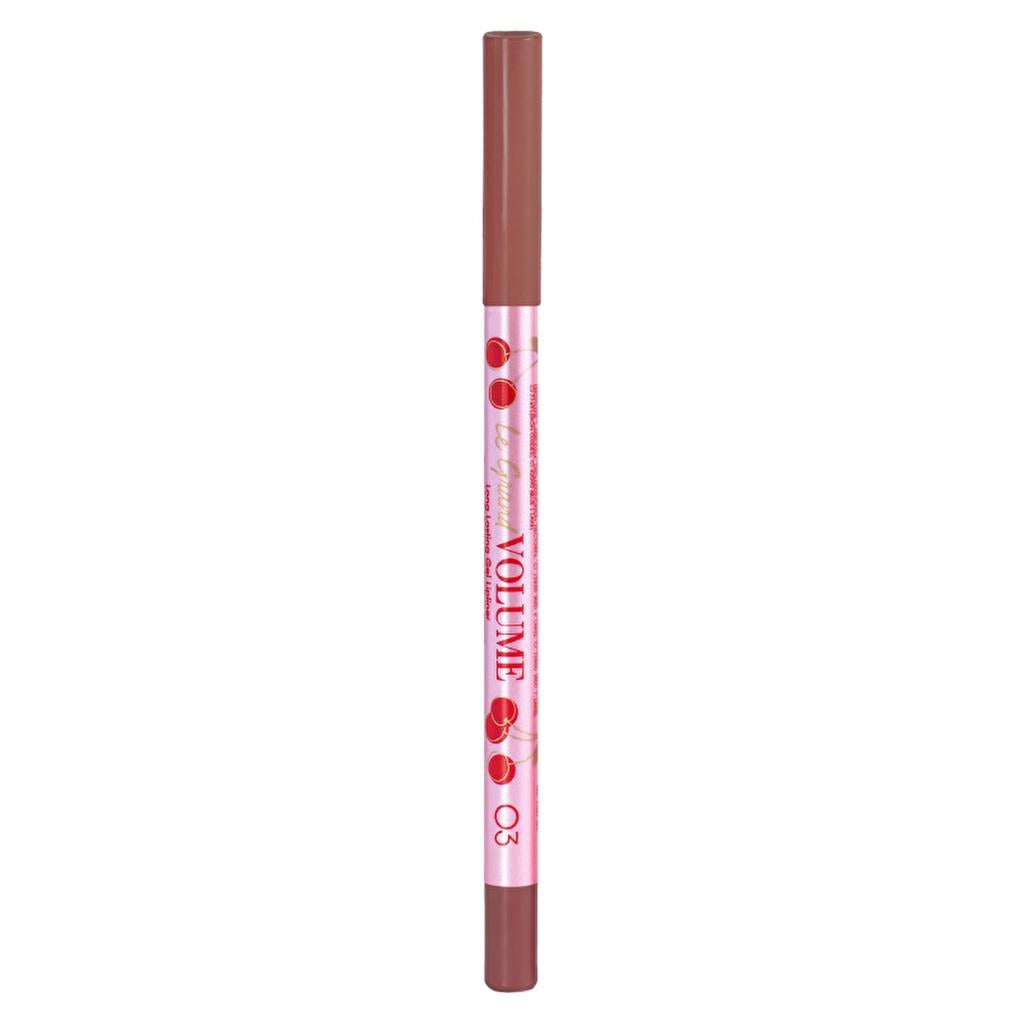 Vivienne Sabo Le Grand Volume Gel Lipliner 03 Cold Nude