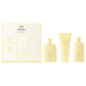 Hair Alchemy Strengthening Travel Set - Vegan, Sulfate-Free Hair Care for Damaged, Dry Hair